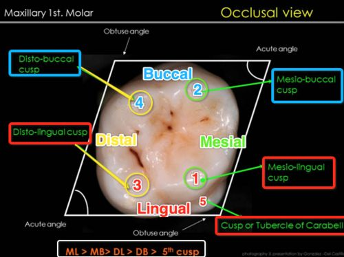 -2Qy8lEdsfxnFcYa1qxWbCLNj0XEvgUWmRoNfkrYU6JSh9E6_5nvxsp903U_dtNsUDgiIkrdAM0wG73ywwiA71Dl1NroUNzZw1MzHVuE0cTzJwTvq3lgzNWpT0ZtvF0Z.png?loading=false