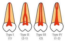 CJAPXzQLaodWEr4Qq3X4l6O8PSBVS_5ovpSfQM1J0t1Y6qoHxW14axG9APi0LKMic6tvae9FrYE9SrCE5rmy8rvpGQvtKXMF7PJ9O4rZopggsOYjs0Tzx-Hzvuezuz-2.png?loading=false
