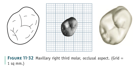 CRmQidj8mAiZD0el3oWmgA0fwyAoVyL6o1-Dfu1fiDTE_WZ7U5vGCIMmg21ZmGAY2EgDljcqplLPteOUSJTiECSW5DDGKj6te-sz_0NkblST4VAvqdrEQePSOMftsYu_.png?loading=false