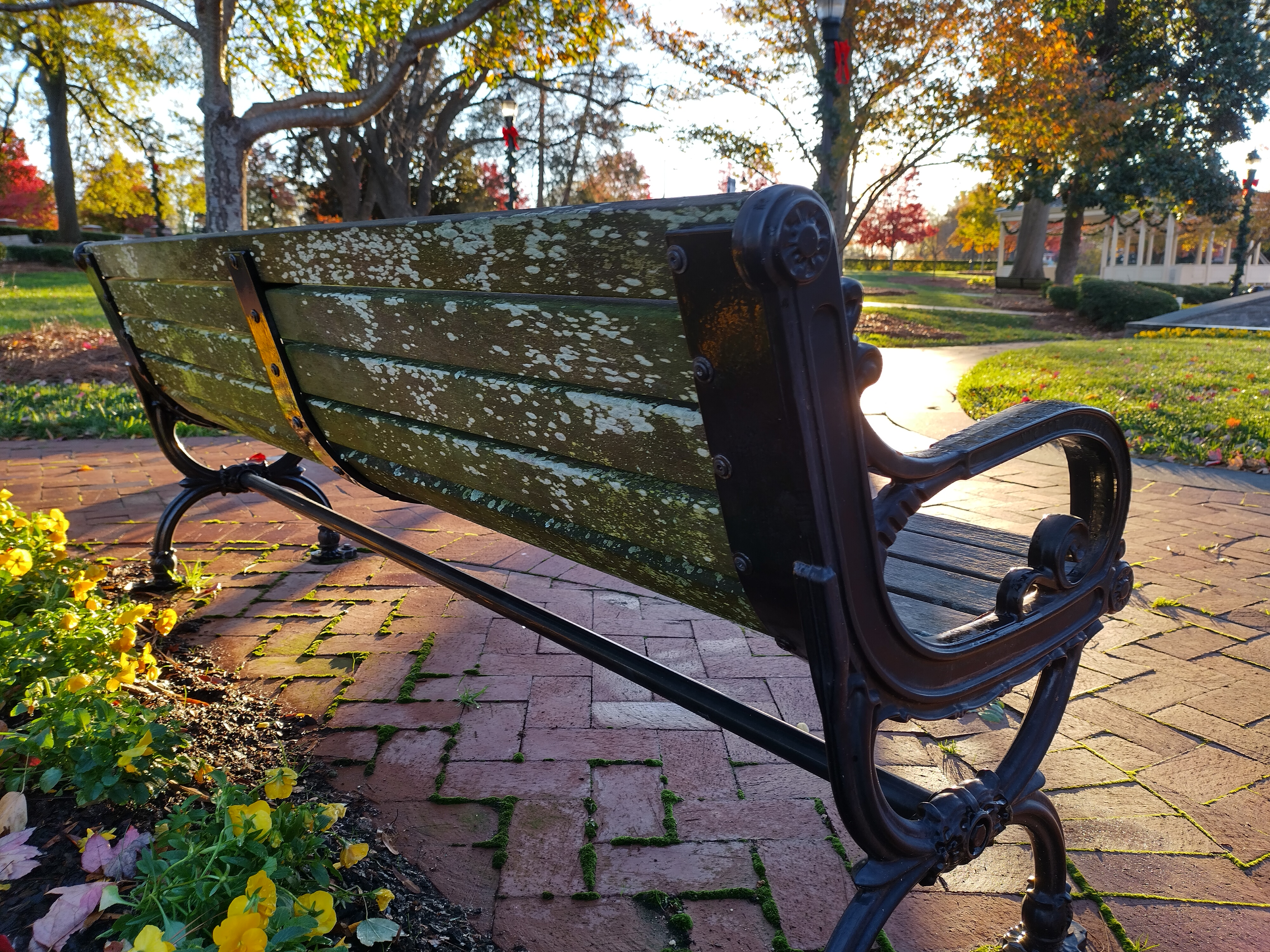 bench back